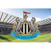 Two Adults and Two Children Tour of St James' Park Review